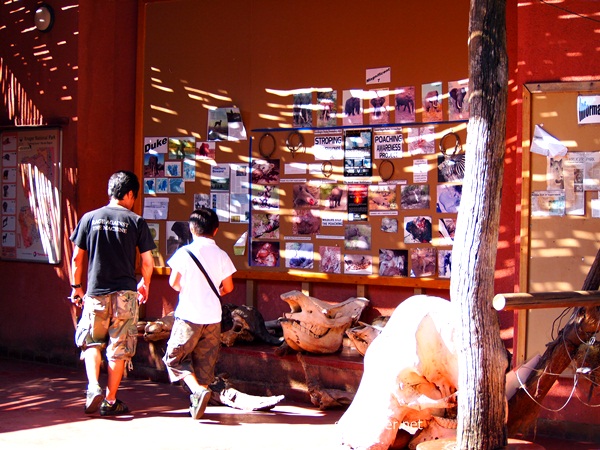 P1042904.JPG