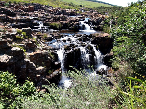 P1063135.JPG