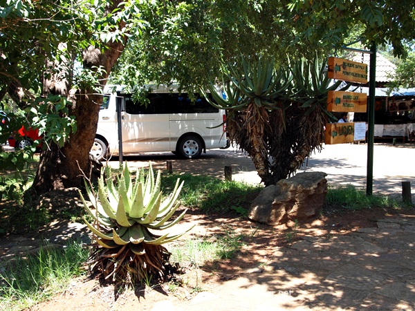 P1063155.JPG