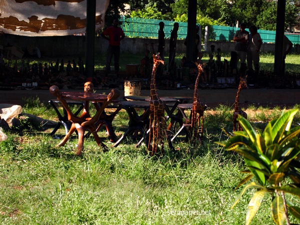 P1032734.JPG