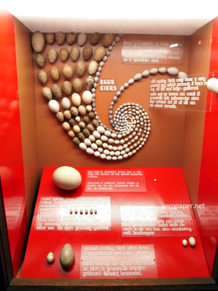 P1093478.JPG
