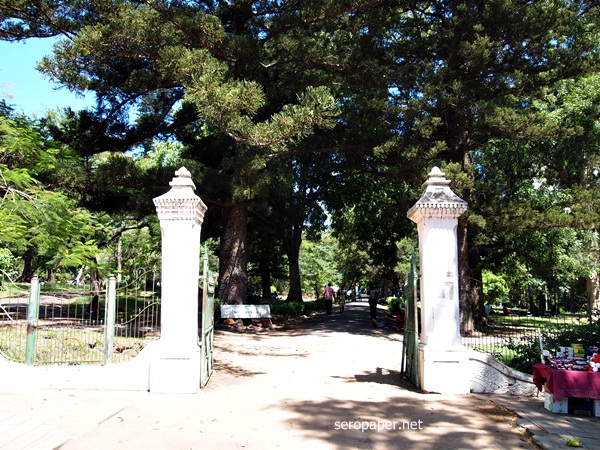 P1123625.JPG