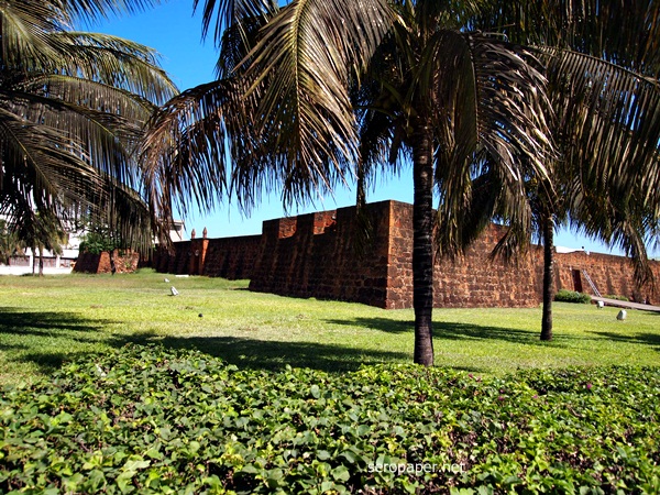 P1123627.JPG