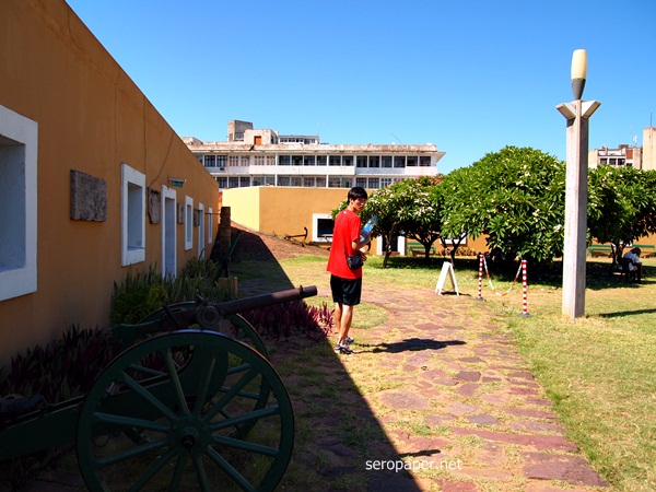 P1123632.JPG