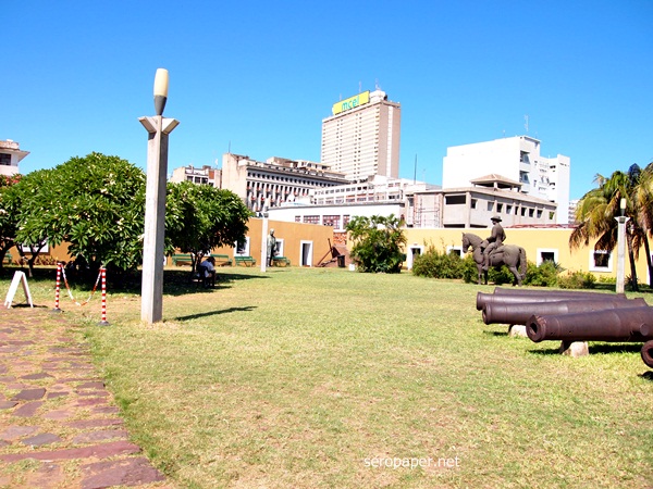 P1123630.JPG