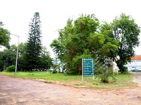 P1183657.JPG