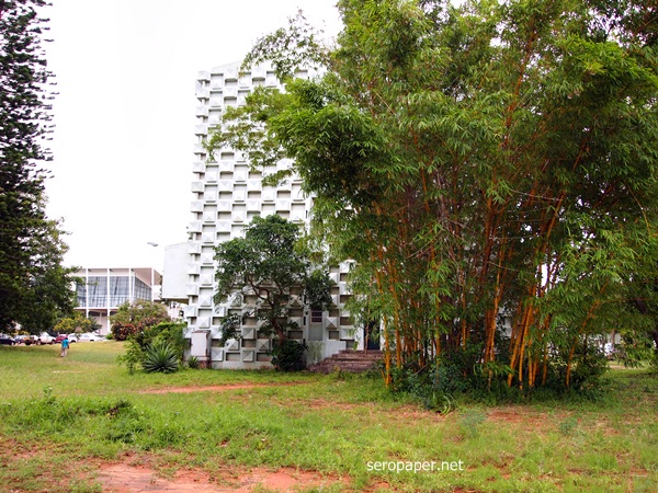P1183658.JPG