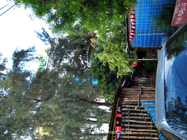 P1203698.JPG