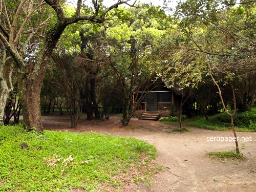 PC261821.JPG