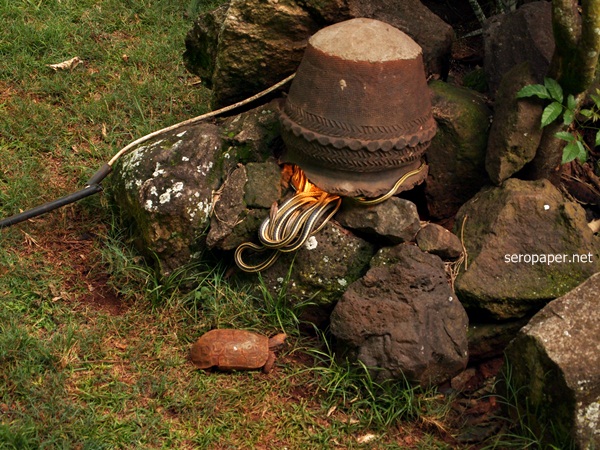 PC272196.JPG