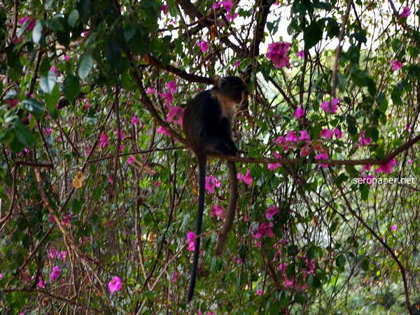 PC272266.JPG
