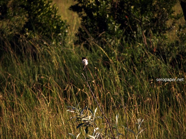 PC272097.JPG