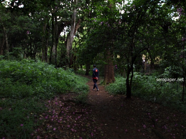 PC272249.JPG