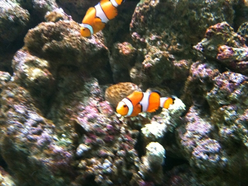 IMG_2112.JPG