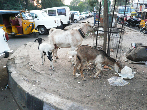 indian_street.jpg