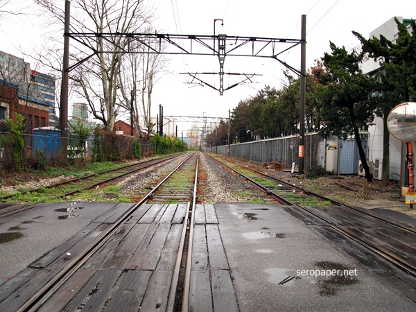 P4224220.JPG